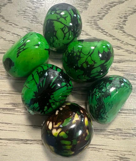Tagua Whole Nut | Tagua from Colombia. Top Drilled, 6 pieces in green, Size: 4x4cm. approx. Woodwork. TWGreen03D