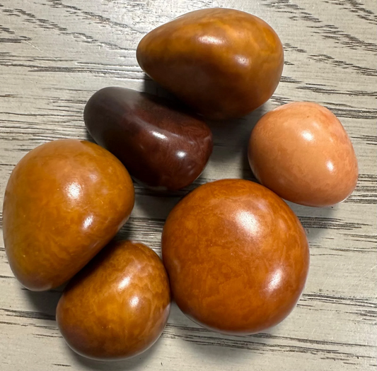 Tagua Nut Whole Seed Beads Mix of Brown Colors | Mix of Big & Small Sizes | 5 Nuts | 3 to 5 cm. Tall | Undrilled. TWMixcolors01U
