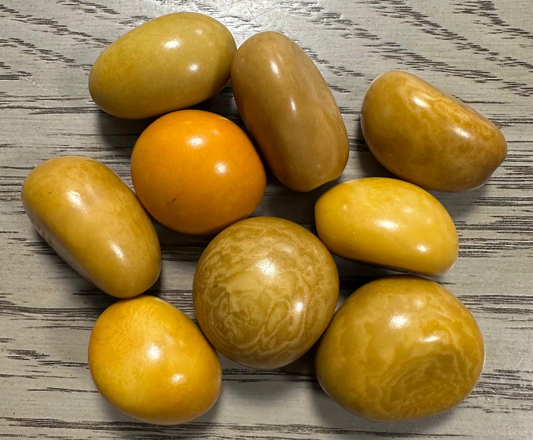 Tagua Nut Whole Seed Beads Mix of Yellow Colors | Mix of Big & Small Sizes | 9 Nuts | 3 to 5 cm. Tall | Undrilled. TWMixcolors03U