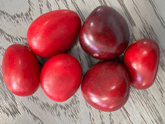 Seed Beads Tagua Whole Nut Polished Mix of Red Colors | Small & Medium Sizes| Set of 6 Nuts Top Drilled. TWMixcolors06D