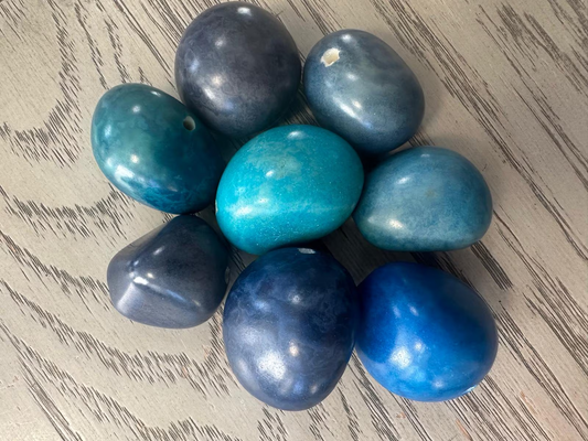 Seed Beads Tagua Whole Nut Polished Mix of Blue Colors | Small & Medium Sizes| Set of 6 Nuts Top Drilled. TWMixcolors07D