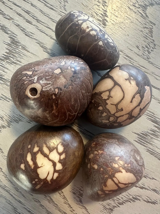 Natural whole tagua seed. Top-drilled, 5 pieces, approx. size 4 x 4 cm. For woodworking, carving, and jewelry making. TWNatural01D-U