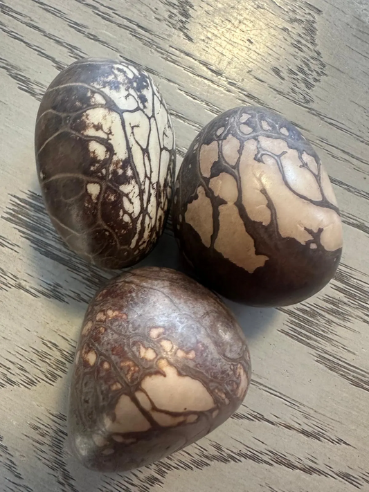 Natural whole tagua seed. Undrilled, 5 pieces, approx. size 4 x 4 cm. For woodworking, carving, and jewelry making. TWNatural01D-U