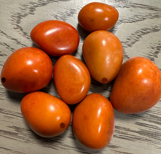Tagua Nut Whole Seed Beads Mix of Orange Colors | Mix of Big & Small Sizes | 9 Nuts | 3-cm. tall | Top Drilled. TWMixcolors04D-U