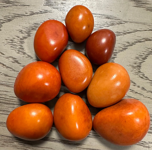 Tagua Nut Whole Seed Beads Mix of Orange Colors | Mix of Big & Small Sizes | 9 Nuts | 3-cm. tall | Undrilled. TWMixcolors04D-U