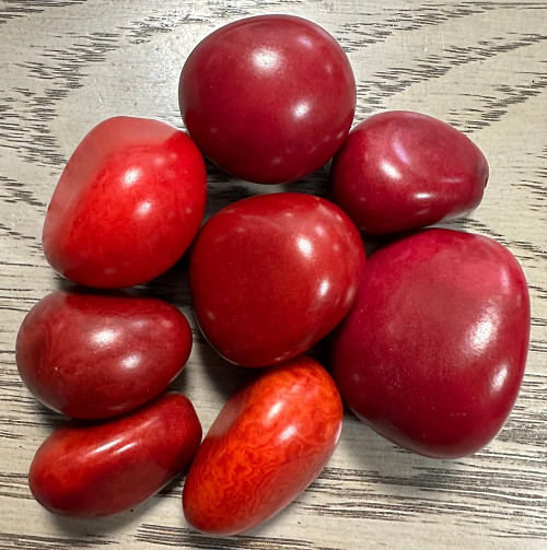 Tagua Nut Whole Seed Beads Mix of Red Colors | Mix of Big & Small Sizes | 8 Nuts | 3 to 5 cm. Tall | Top-drilled. TWMixcolors01D