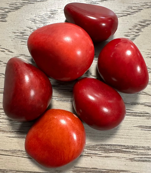 Tagua Nut Whole Seed Beads Mix of Red Colors | Mix of Big & Small Sizes | 8 Nuts | 3 to 5 cm. Tall | Top-drilled. TWMixcolors01D