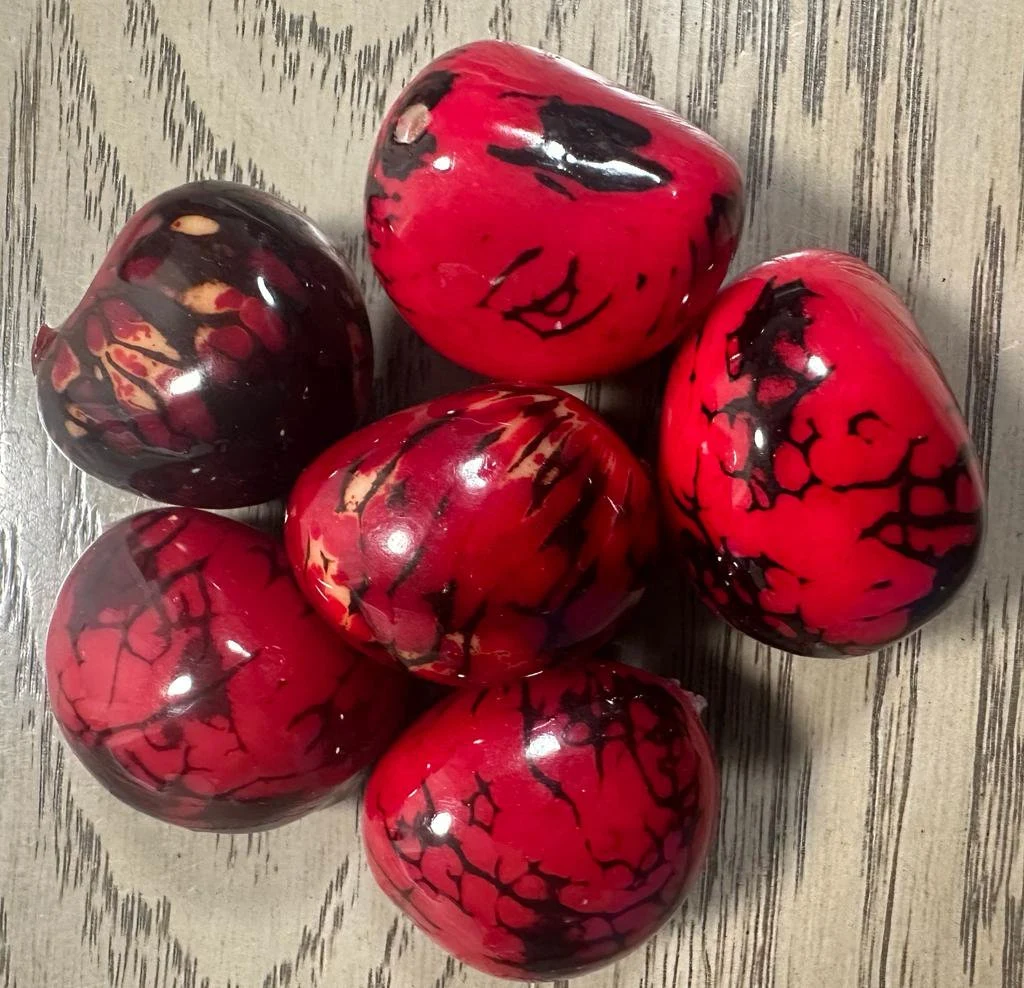 Tagua Whole Nut 6 pcs Seed Beads in Red Top Drilled | 4x3cm. approx. | Woodwork Eco Sustainable Natural. TWRed01D-U