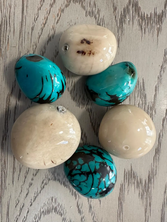 Tagua Nut Whole Seed Nut Coated Resin Beads Shiny Set Beige & Blue 6 Pcs Size 4x3 cm approx. Top Drilled. TWTwocolors09D