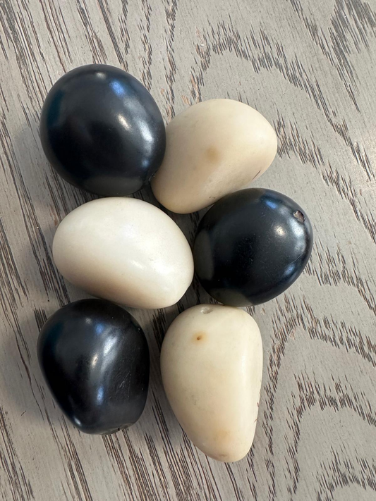 Seed Beads Tagua Whole Nut Polished Bicolor Set Black & White 6 Pcs Medium Size 3x3 cm approx. Drilled. TWTwocolors15D-U