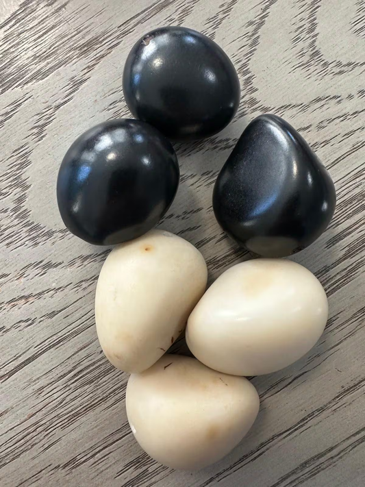 Seed Beads Tagua Whole Nut Polished Bicolor Set Black & White 6 Pcs Medium Size 3x3 cm approx. Undrilled. TWTwocolors15D-U