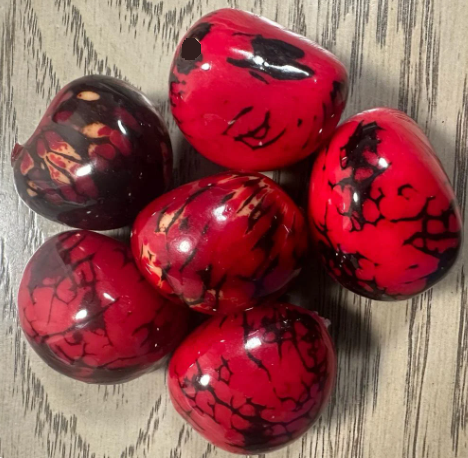 Seed Beads Whole Tagua Nut from Colombia in Red. 6 nuts | 4x4 cm. approx. Undrilled. TWRed01U