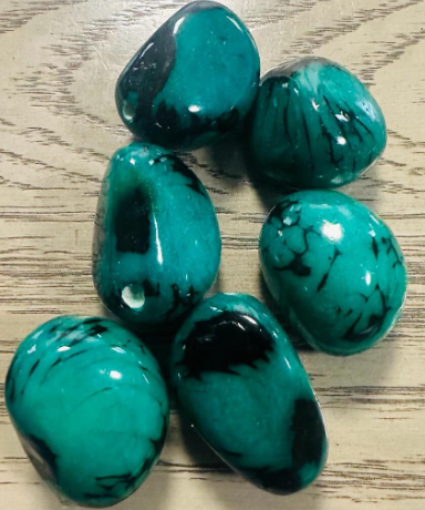 Tagua Nut Blue/Teal | 5 Whole Seed Beads Top Drilled 4x3cm. approx. TWBlue01D