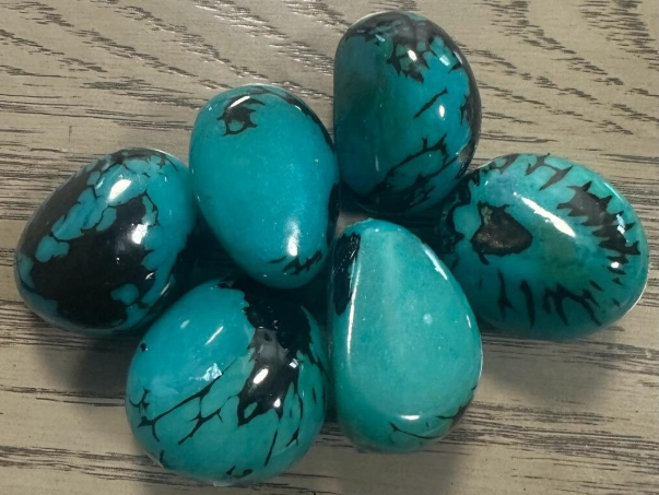 Tagua Nut Blue/Teal | 5 Whole Seed Beads Top Drilled 4x3cm. approx. TWBlue01D