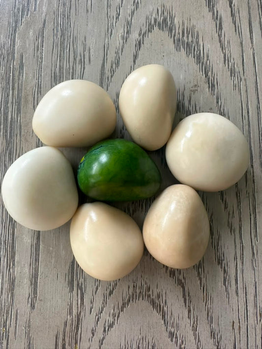 Tagua Whole Nut 7 Tagua Nuts - Beads in Beige and Green Colors - Polished Tagua Vertically Drilled
