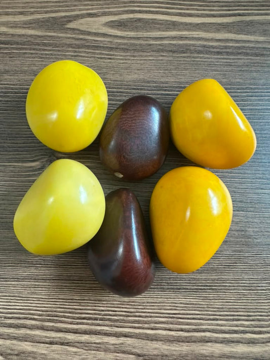 Tagua Whole Nut 6 Tagua Nuts - Beads in Yellow and Brown Colors - Polished Tagua Vertically Drilled