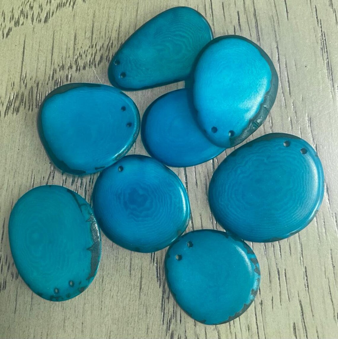 Tagua Slices Beads. 20 Blue Pieces.