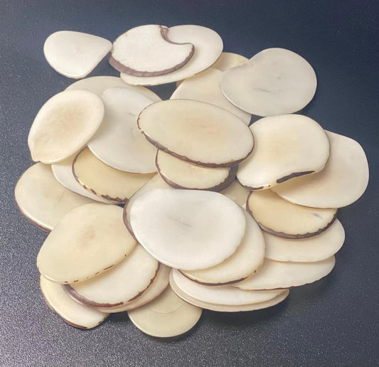Tagua Slices Beads. 20 Beige Pieces.