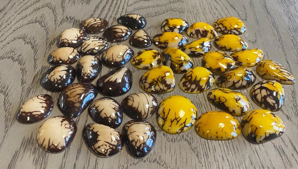 Tagua Slices Beads. 30 Bicolor Beads