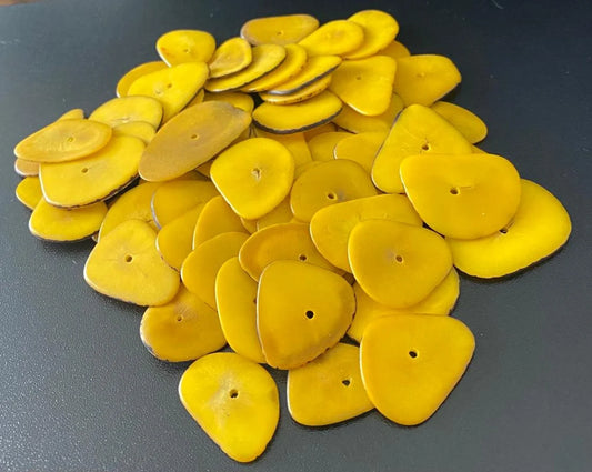 Tagua Slices Beads. 20 Yellow Pieces