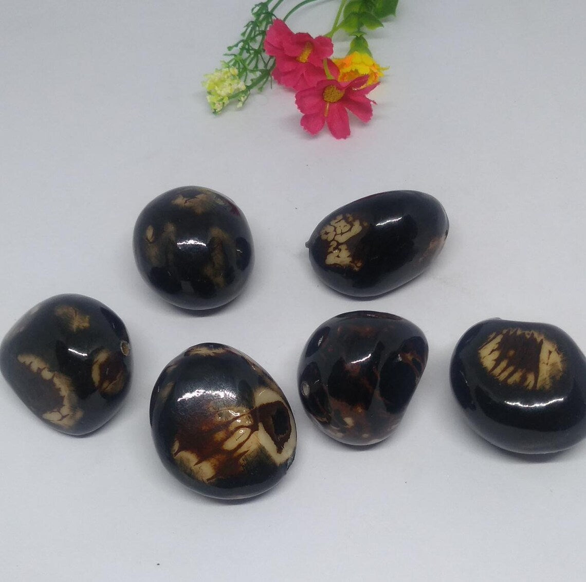 Tagua Beads. 6 Bicolor Pieces