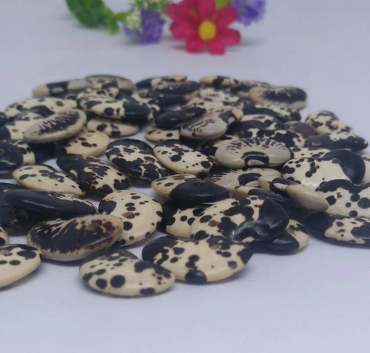 Tagua Slices Beads. 50 Dalmatian Patterned Pieces.