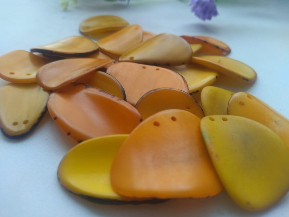Tagua Chip Slices Beads. 20 Yellow, Brown or Green Pieces.