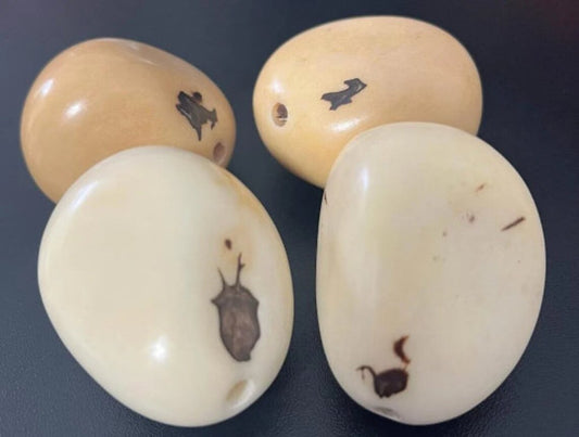 Tagua Beads. 6 Beige Pieces