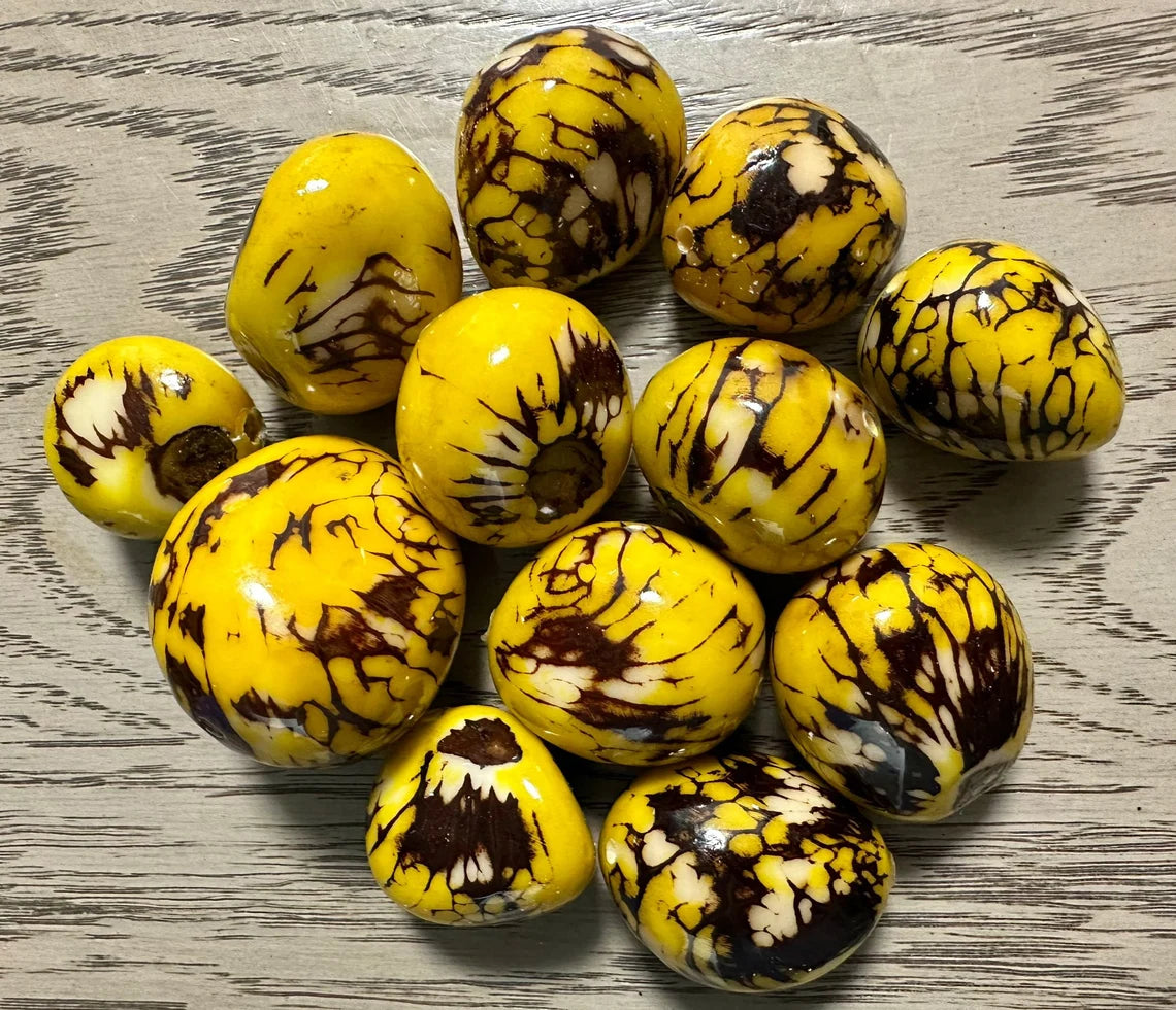 Tagua Beads. 6 Yellow Pieces.