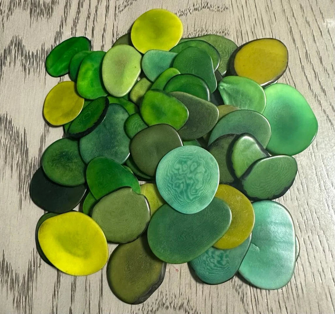 Tagua Chip Slices Beads. 20 Green Pieces