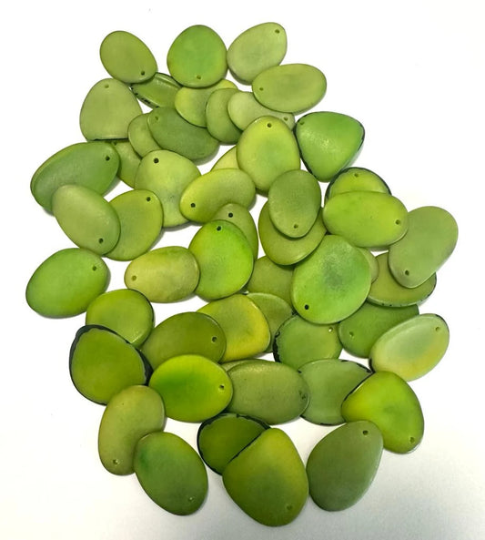 Tagua Chip Slices Beads. 30 Green Pieces