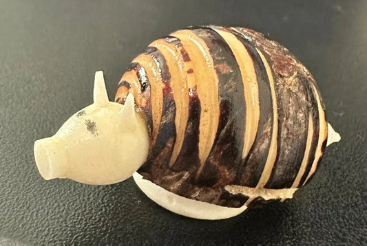 Miniature Armadillo Hand Carved Tagua Vegetable Ivory Nut.