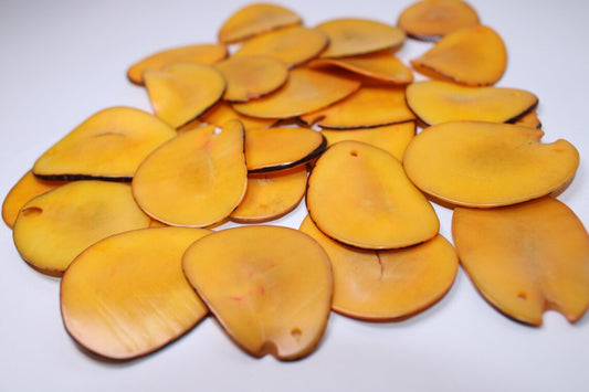 Tagua Slices Beads. 20 Yellow Pieces.