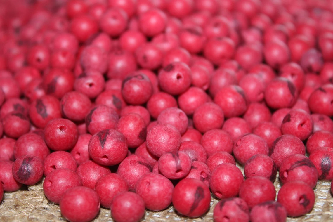 Tagua Ball Beads. 200 Red Beads