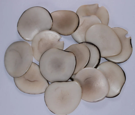 Tagua Slices Beads. 20 Beige Pieces