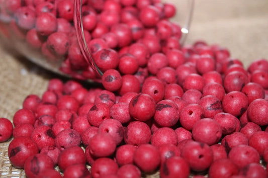 Red Beads Acai Seeds from the Colombian Amazonian Palm. Size: 1x1cm. Hole Size 1mm Approx. Natural Accounts. Pack of 200 Beads. TARed01