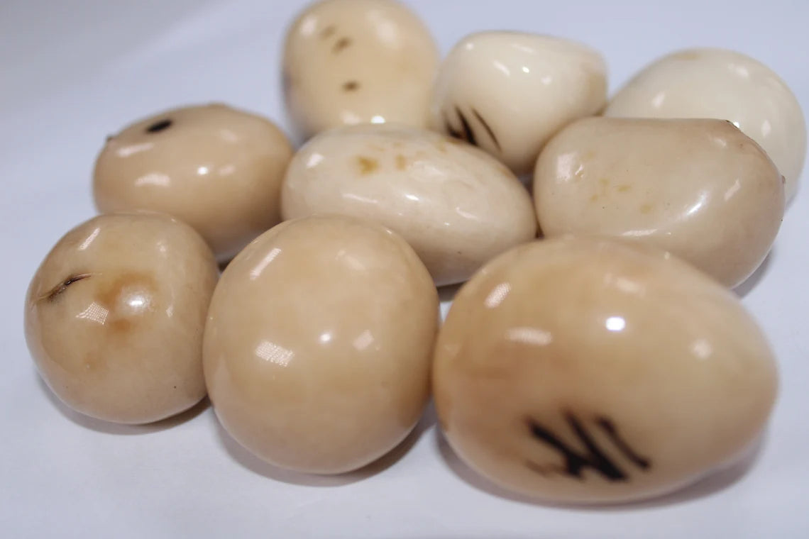 Tagua Beads. 6 Beige Pieces.
