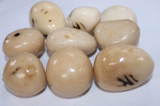 Tagua Beads. 6 Beige Pieces.