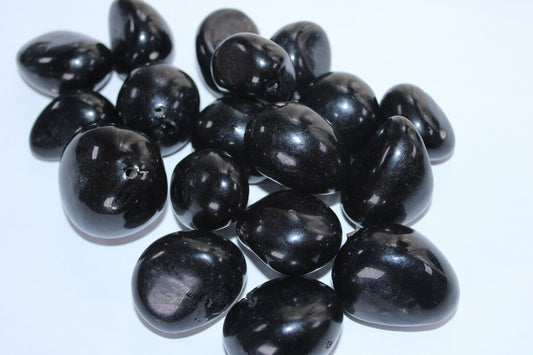 Tagua Beads. 6 Black Pieces.