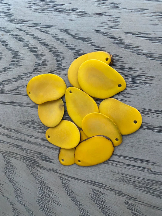 Tagua Slices Beads. 30 Yellow Pieces.