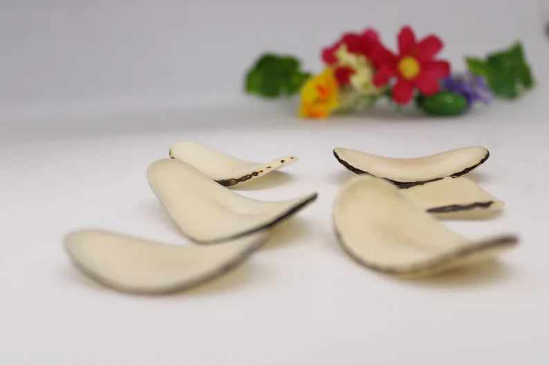 Tagua Chip Slices Beads. 20 Beige Pieces.
