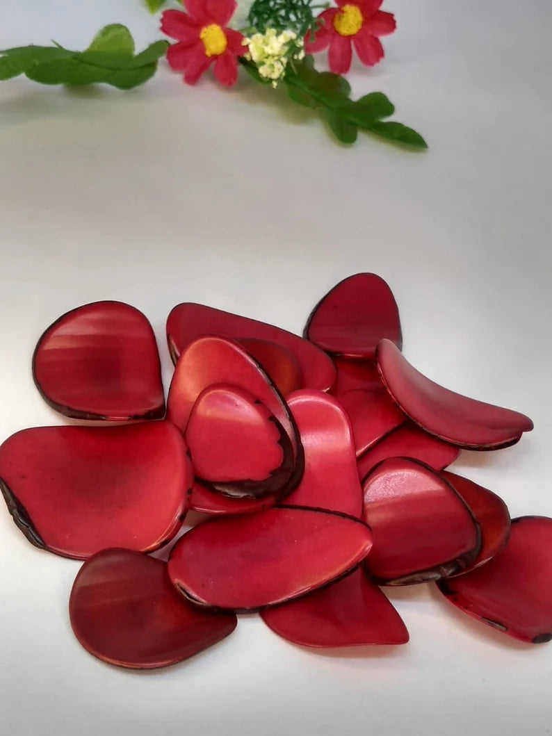 Tagua Chip Slices Beads. 20 Red Pieces