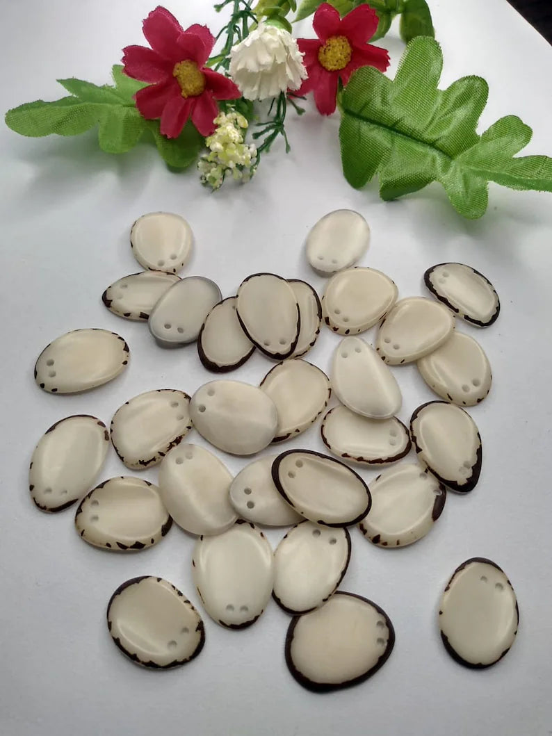 Tagua Chip Slices Beads. 20 White Pieces