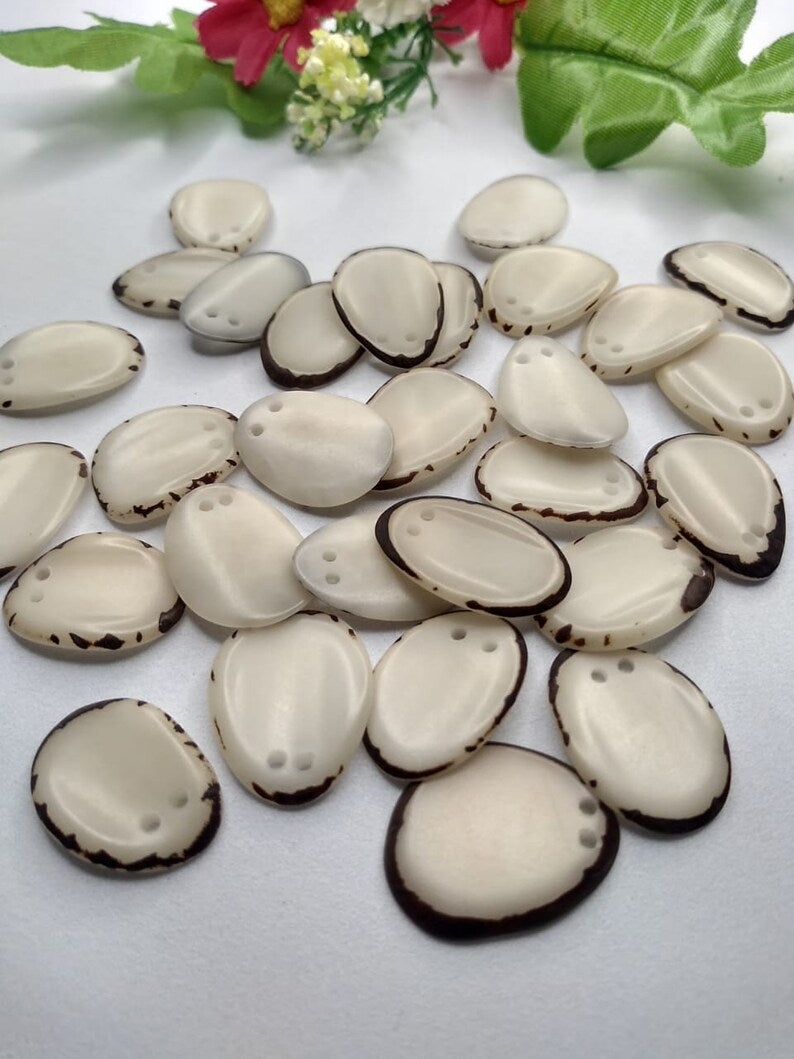 Tagua Chip Slices Beads. 20 White Pieces