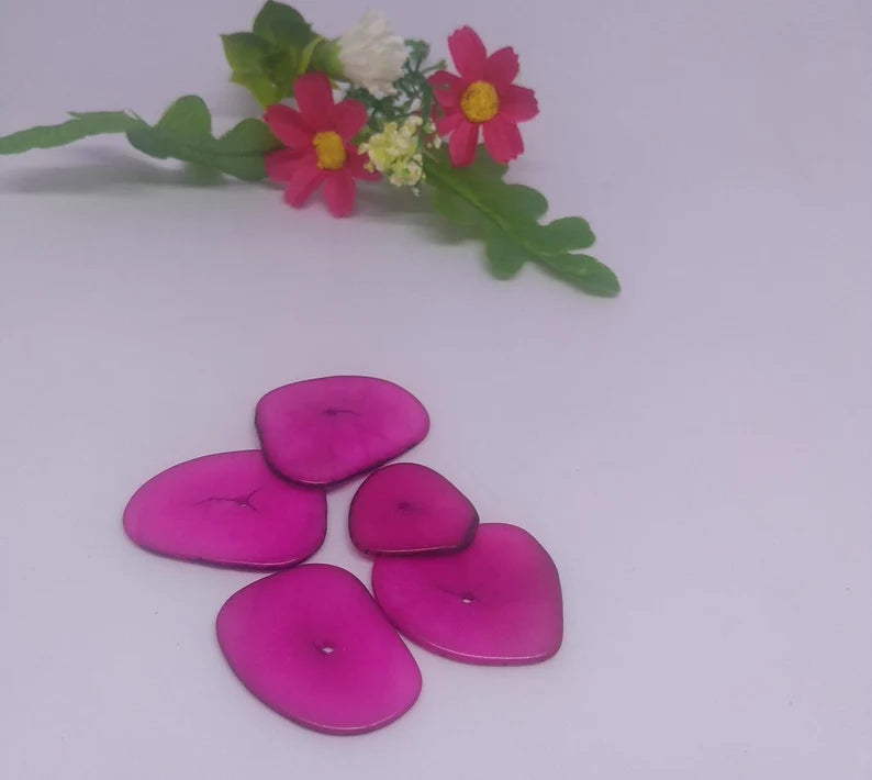 Tagua Chip Slices. 20 Multicolored Pieces