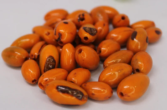 Beads Made of Camajuro Seeds in Orange Color. (30 Pieces)