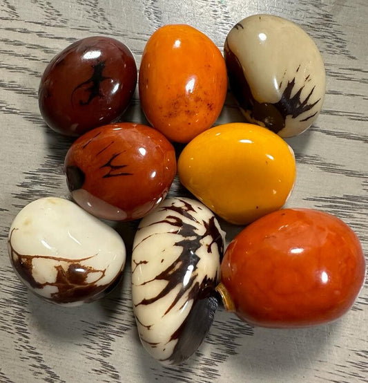 Tagua Whole Nut. 8 Multicolored Pieces