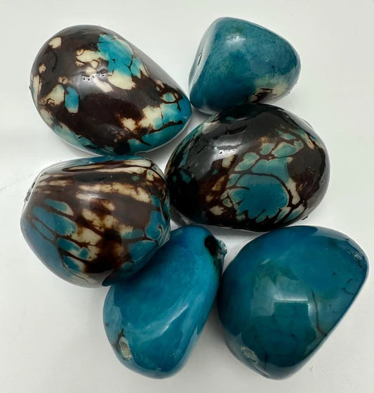 Tagua Beads. 6 Blue Pieces