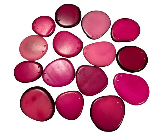 Tagua Chip Slices Beads. 20 Bicolor Pieces