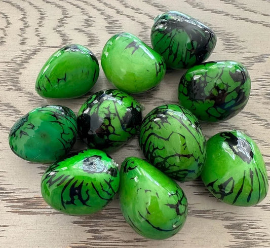 Tagua Beads. 6 Green Pieces